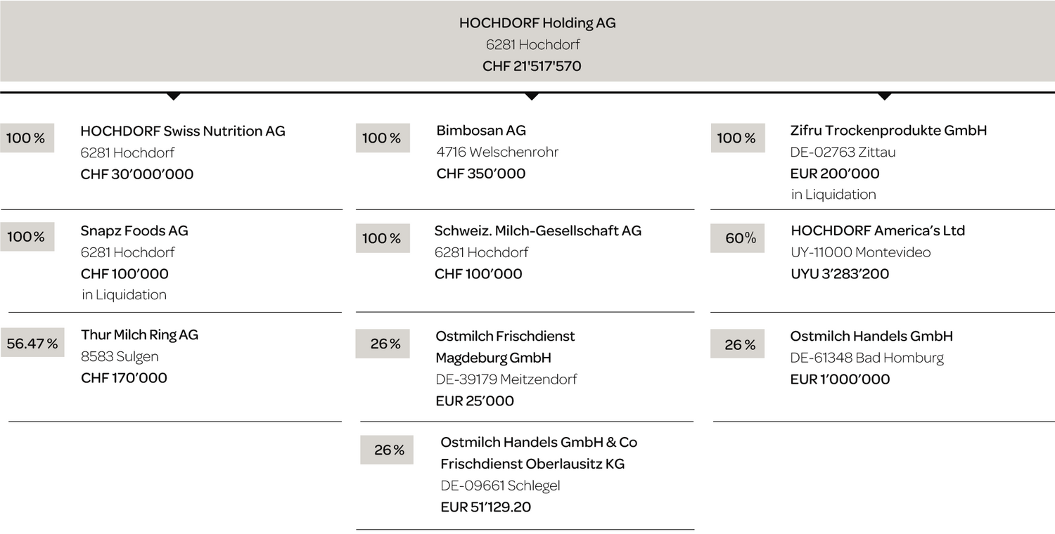 Konzernstruktur Hochdorf Holding