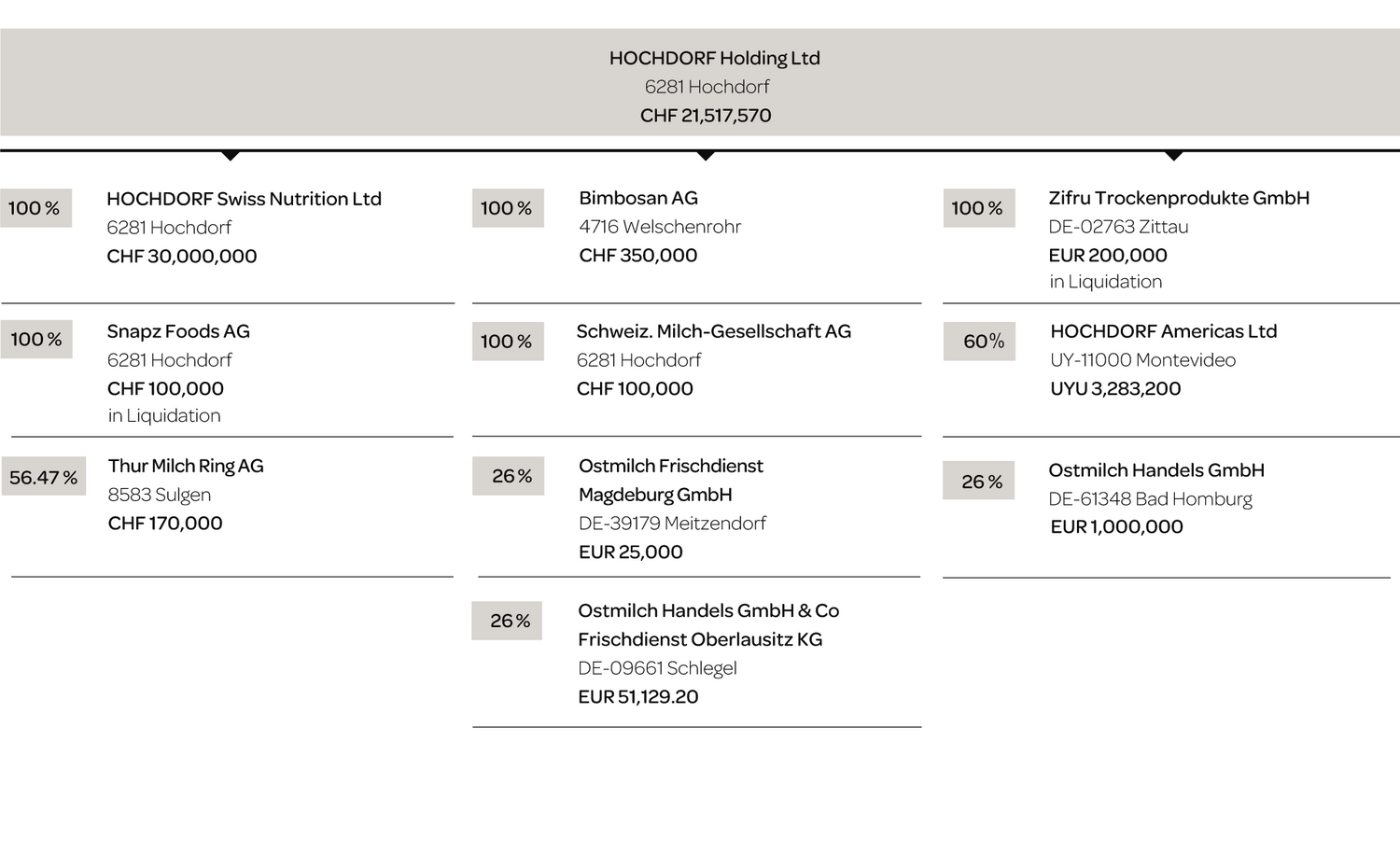 Hochdorf Holding Group Structure